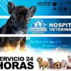 90340278_3211526235525316_7367821752665112576_n VETERINARIA MASKOTEKA