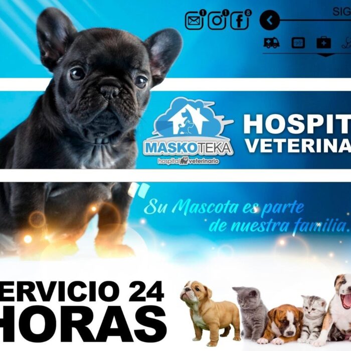 90340278_3211526235525316_7367821752665112576_n VETERINARIA MASKOTEKA