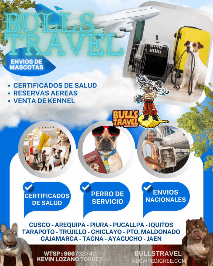 Blue and White Modern Travel Agency Instagram Post BULLS TRAVEL PERÚ