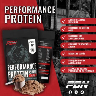 WhatsApp Image 2025-05-16 at 10.19.04 AM PERFORMANCE PROTEIN