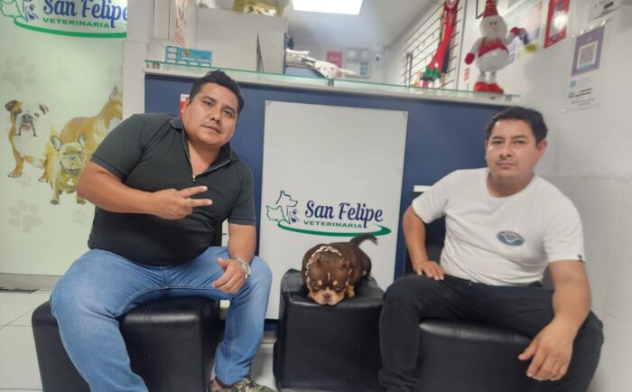 VETERINARIA "SAN FELIPE"