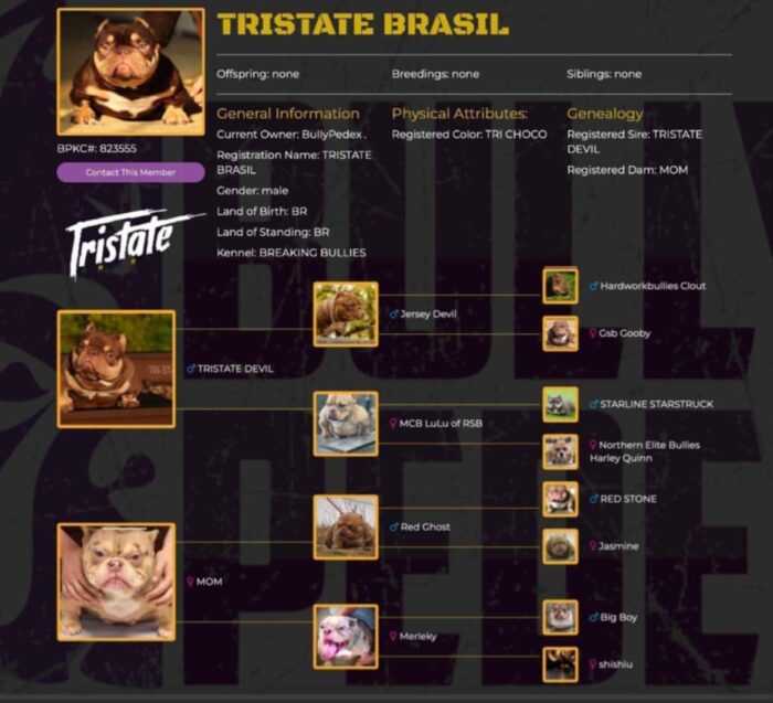 486582542_3585502064914850_2896505101952163557_n TRI STATE LINE BRASIL